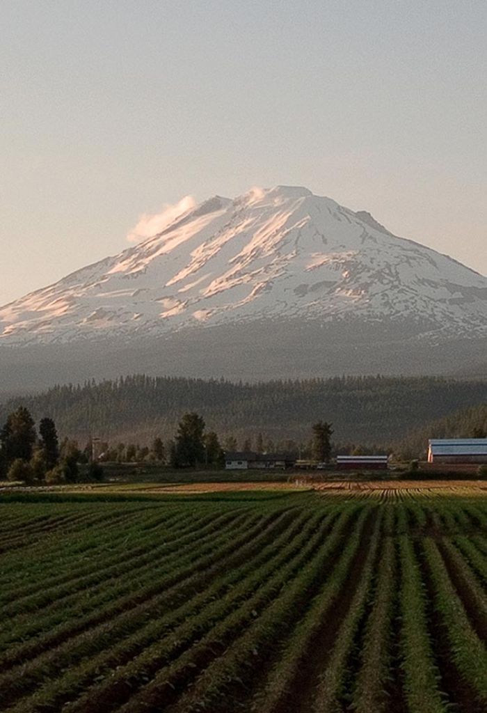 Yakima Property Tax Appeals » Washington Property Tax Appeals